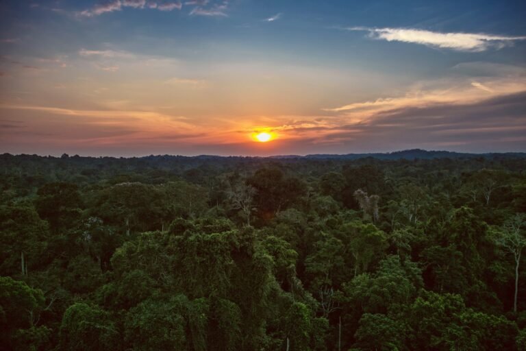 Estudo aponta aumento de 152% de incêndios na Amazônia