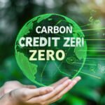 Arbor Day Carbon e sua Liderança na Remoção de Carbono