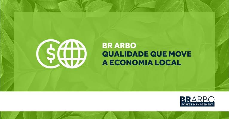 BR Arbo é um projeto da B3 (a bolsa de valores do Brasil) focado em créditos de carbono e ativos ambientais.