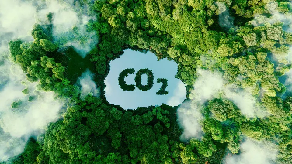 Estudo da Embrapa revela que Brasil pode diminuir em até 38% a pegada de carbono na produção de trigo