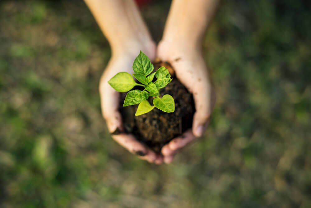 Brasil lança plataforma para atrair investimentos verdes