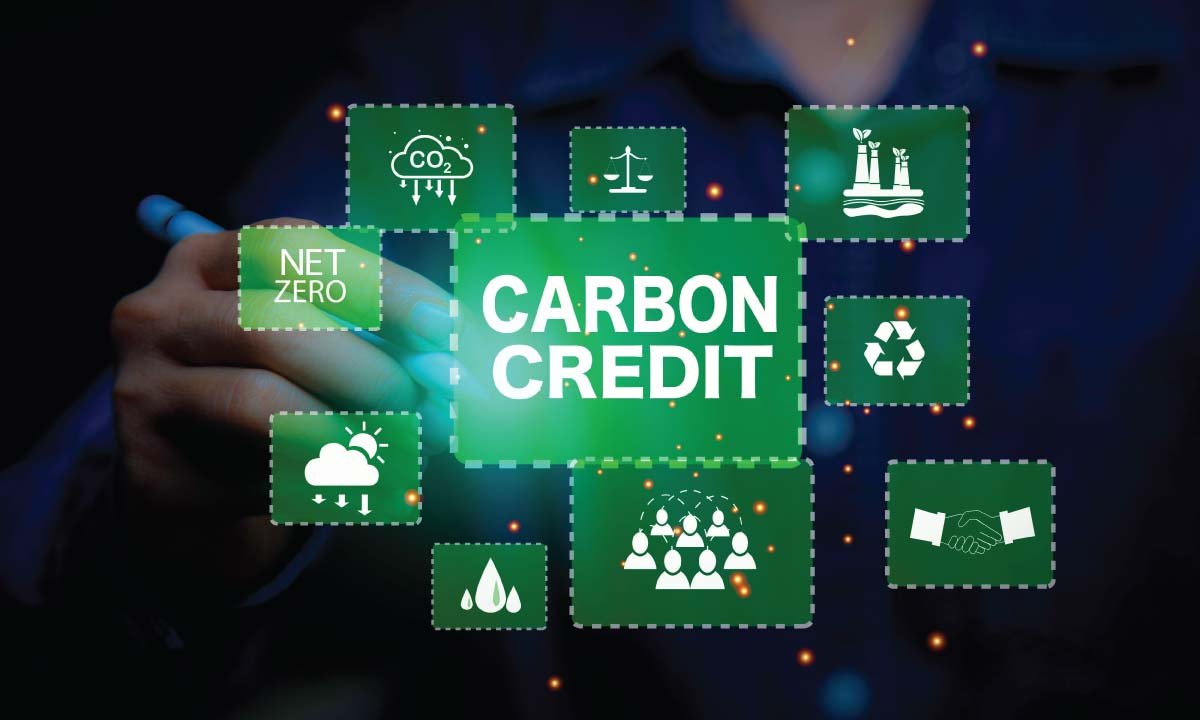 Microsoft assina outro acordo de compra de carbono baseado em florestas