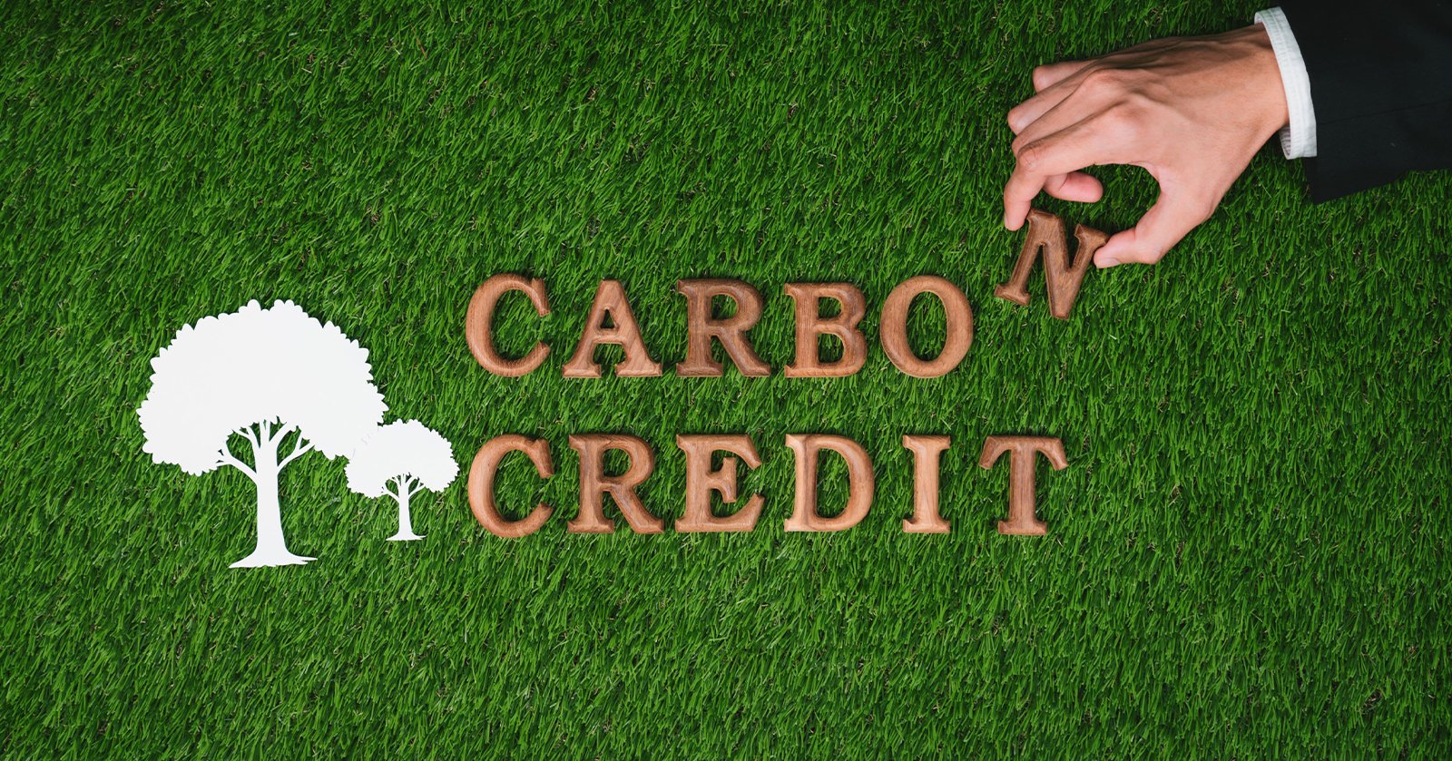 SARA obtém registro Verra: desbloqueando o financiamento de carbono para pastoreio regenerativo na América Latina