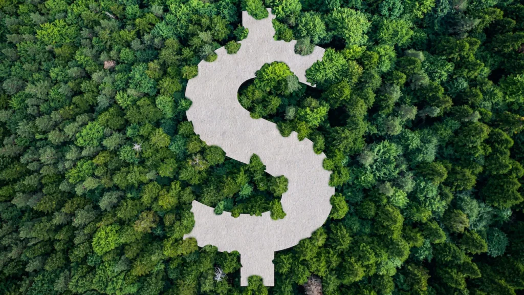GenZero fecha acordo de crédito de carbono de longo prazo com a chinesa Tencent