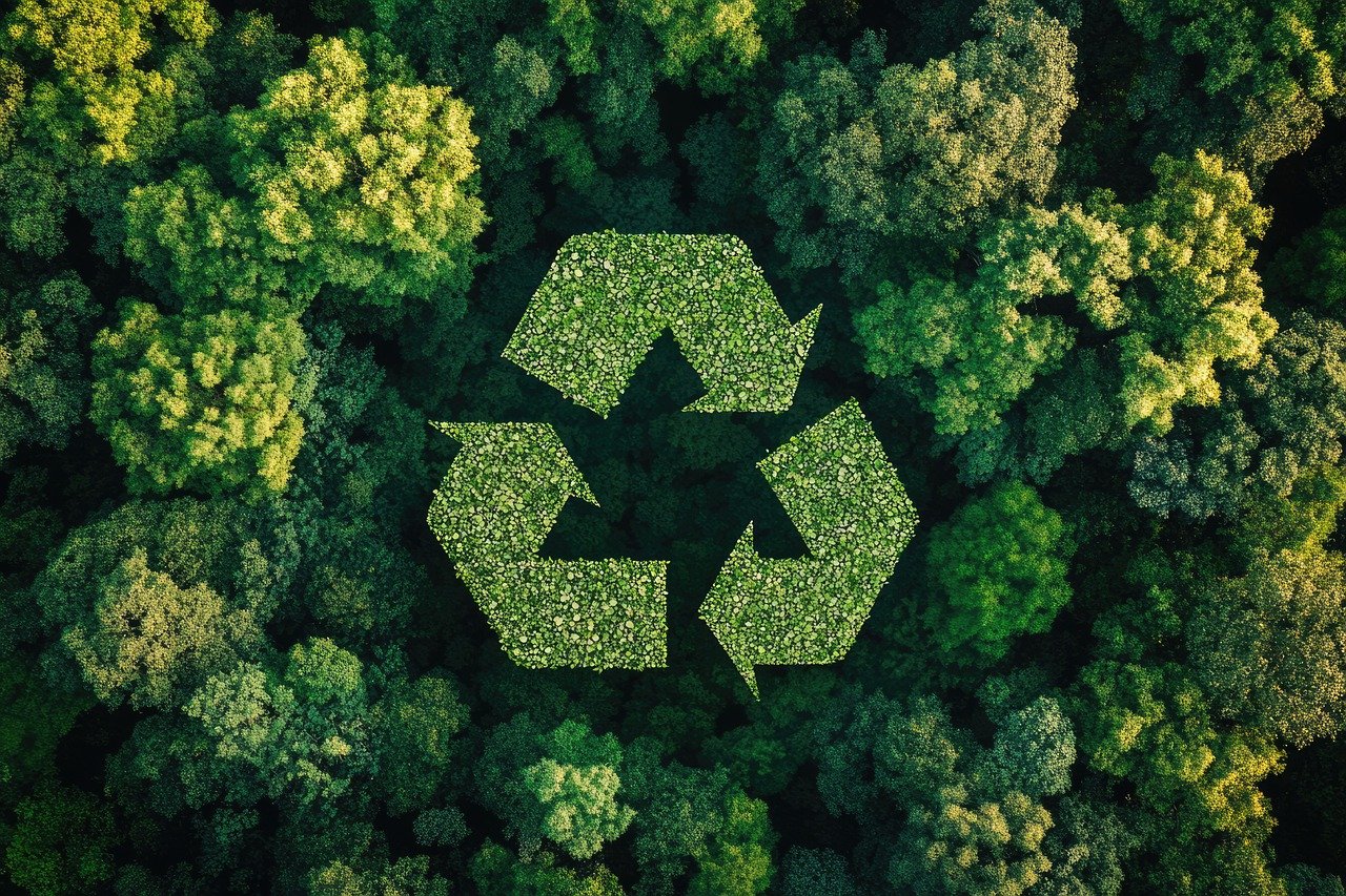 A iniciativa visa padronizar os dados usados ​​para avaliar créditos de carbono e projetos de redução de emissões
