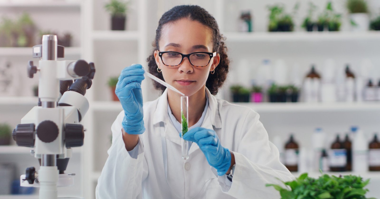 Como cientistas sociais ajudam em projetos de crédito de carbono?