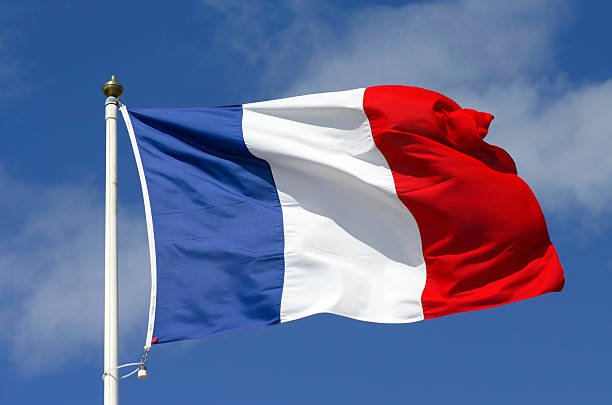 A nova carta da França estabelece padrões globais para o uso transparente e confiável de créditos de carbono, alinhados ao Artigo 6.4 do Acordo de Paris.