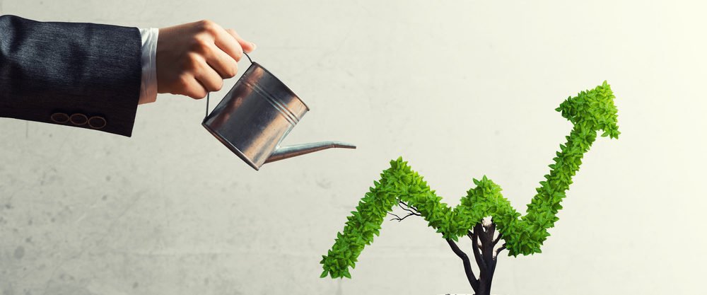 Fundo Verde será lançado para promover esforços globais de descarbonização
