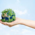 Mercado Voluntário de Carbono 2025, entenda