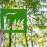 Coalizão global busca fortalecer mercados de carbono