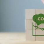 Certificação de créditos de carbono: Hempalta