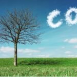 Quênia quer regular mercado de carbono mas há entraves