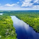 Meta climática da UE pode mudar mercados de carbono