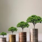Oportunidades globais em créditos de carbono