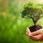BBVA alcança finanças sustentáveis no segundo trimestre