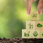 B3 lança plataforma de créditos de carbono