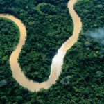 Amazônia pode gerar bilhões com créditos de carbono até 2030