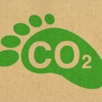 Créditos de carbono de alta qualidade atingem níveis recordes