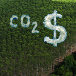 Créditos de carbono podem transformar em parceria climática global
