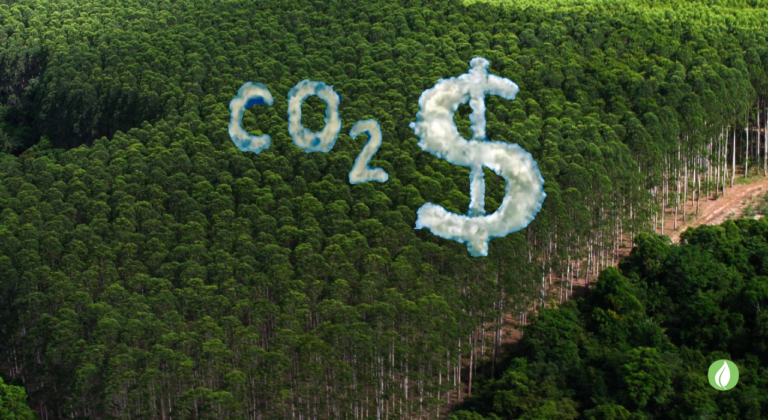 Créditos de carbono podem transformar em parceria climática global