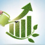 Mercado de créditos de carbono dos EUA cresce