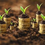 MPRO realiza seminário sobre Economia Sustentável e Crédito de Carbono