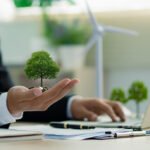 Mercado de créditos de carbono dos EUA