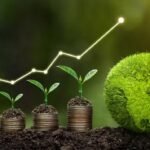 Brasil dá início ao mercado regulamentado de créditos de carbono