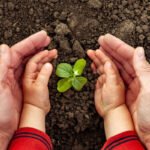 Goiânia avança com ISS Neutro e programa de créditos de carbono