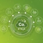 Como reduzir metano na pecuária e gerar créditos de carbono