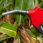 Etanol brasileiro pode ter carbono negativo com novas tecnologias