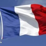 Franceses criam plataforma inovadora de créditos de carbono