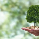 Café de Baixa Pegada de Carbono impulsiona liderança do Brasil