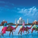 Mercados de carbono podem acelerar o crescimento da Índia