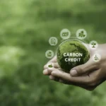 Empresa brasileira lucra com lixo e créditos de carbono
