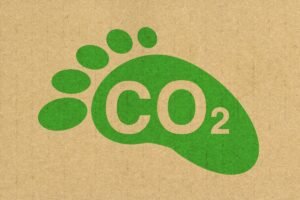 Projeto Mejuruá une conservação e créditos de carbono