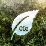 Goiás avança na compra de créditos de carbono