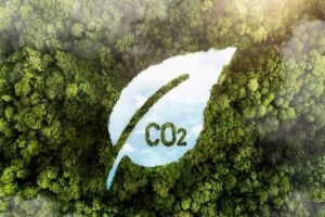 Goiás avança na compra de créditos de carbono