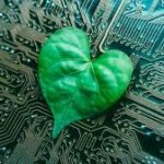 Novo método mede carbono do solo com laser e IA