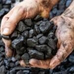 Platts atualiza avaliação de créditos de carbono