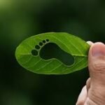 Biofungicida reduz pegada de carbono na agricultura