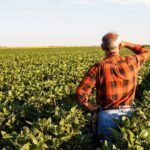 Nova entidade busca ampliar crédito rural fora dos bancos