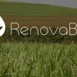 Corretivo sustentável amplia geração de créditos de carbono no agro