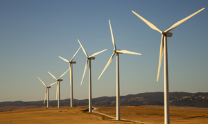 Eólica na Chapada Diamantina impulsiona mercado de carbono