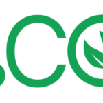 Padrão Net Zero: como funciona na prática?