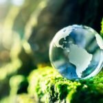 Asia Shipping neutraliza emissões e conquista Selo Carbon Free