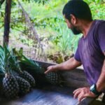 Agricultores da Índia entram no mercado de carbono com apoio da Amazon