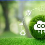Verificação de créditos de carbono: como funciona o mercado?