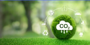 Verificação de créditos de carbono: como funciona o mercado?
