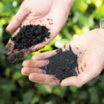 Asfalto com biochar cria créditos de carbono duráveis